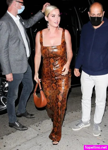 Katy Perry 1 OnlyFans Thumbnail #J2CuXcHckn