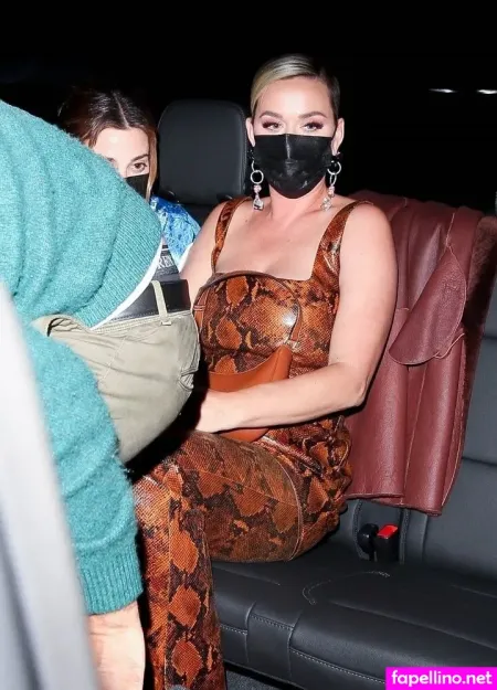 Katy Perry 1 OnlyFans Thumbnail #OFkOKArdHy