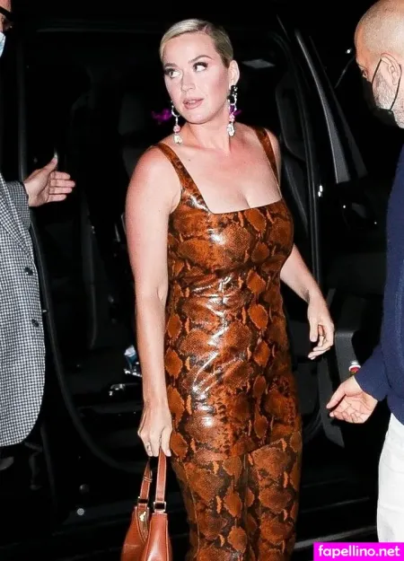 Katy Perry 1 OnlyFans Thumbnail #OUmrAbUdiP