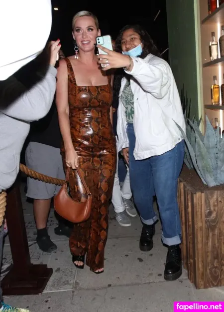 Katy Perry 1 OnlyFans Thumbnail #aJCVLlQOqt