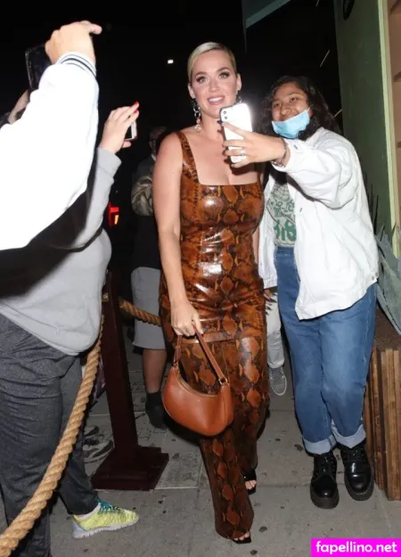 Katy Perry 1 OnlyFans Thumbnail #mjGRMMxSXr