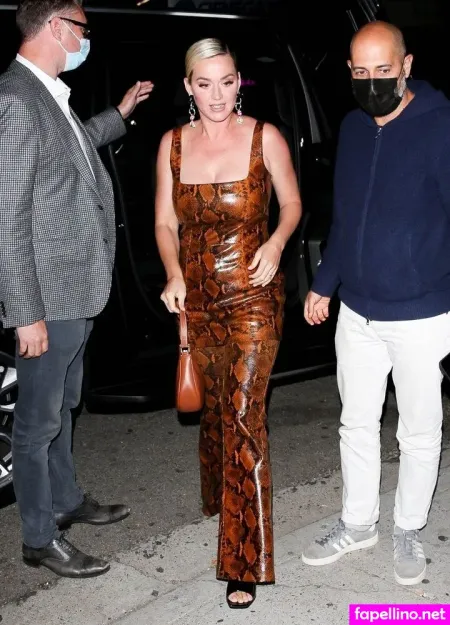 Katy Perry 1 OnlyFans Thumbnail #mtujjVB36u