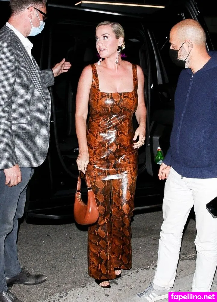 katyperry Nude Leaked OnlyFans Photo #pKhcUEPfl5