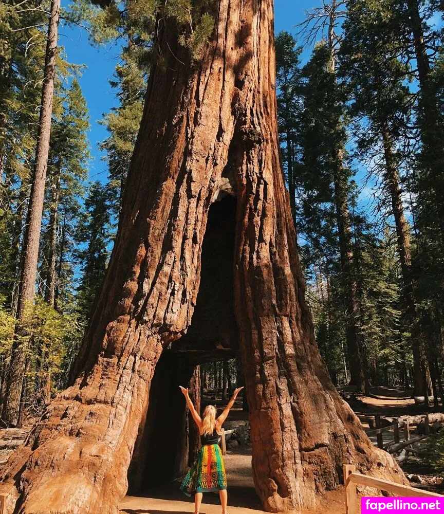 hempresskc, kayacorbridge, kelizabethc Nude Leaked OnlyFans Photo #UChHdrOCi6