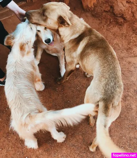 Kaya Corbridge OnlyFans Thumbnail #gqA7xIkm4X