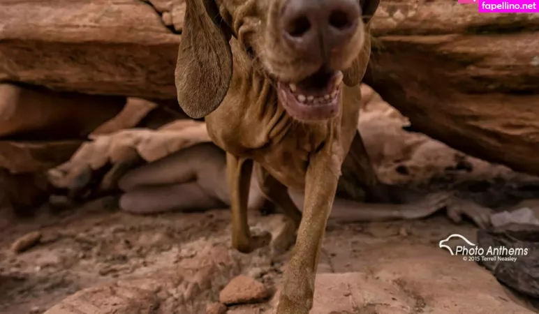 Kaycilee OnlyFans Thumbnail #44GmMZrxgw