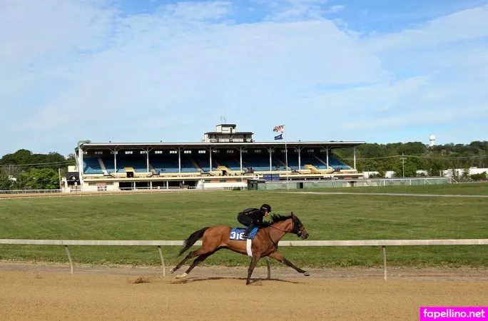 Kaylee Hartung Main Profile Photo