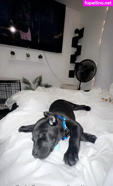 Kaylinwrenn OnlyFans Thumbnail #bYwT1FcfeA