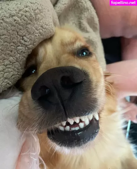 Kayyybearfree OnlyFans Thumbnail #B0BouflCal