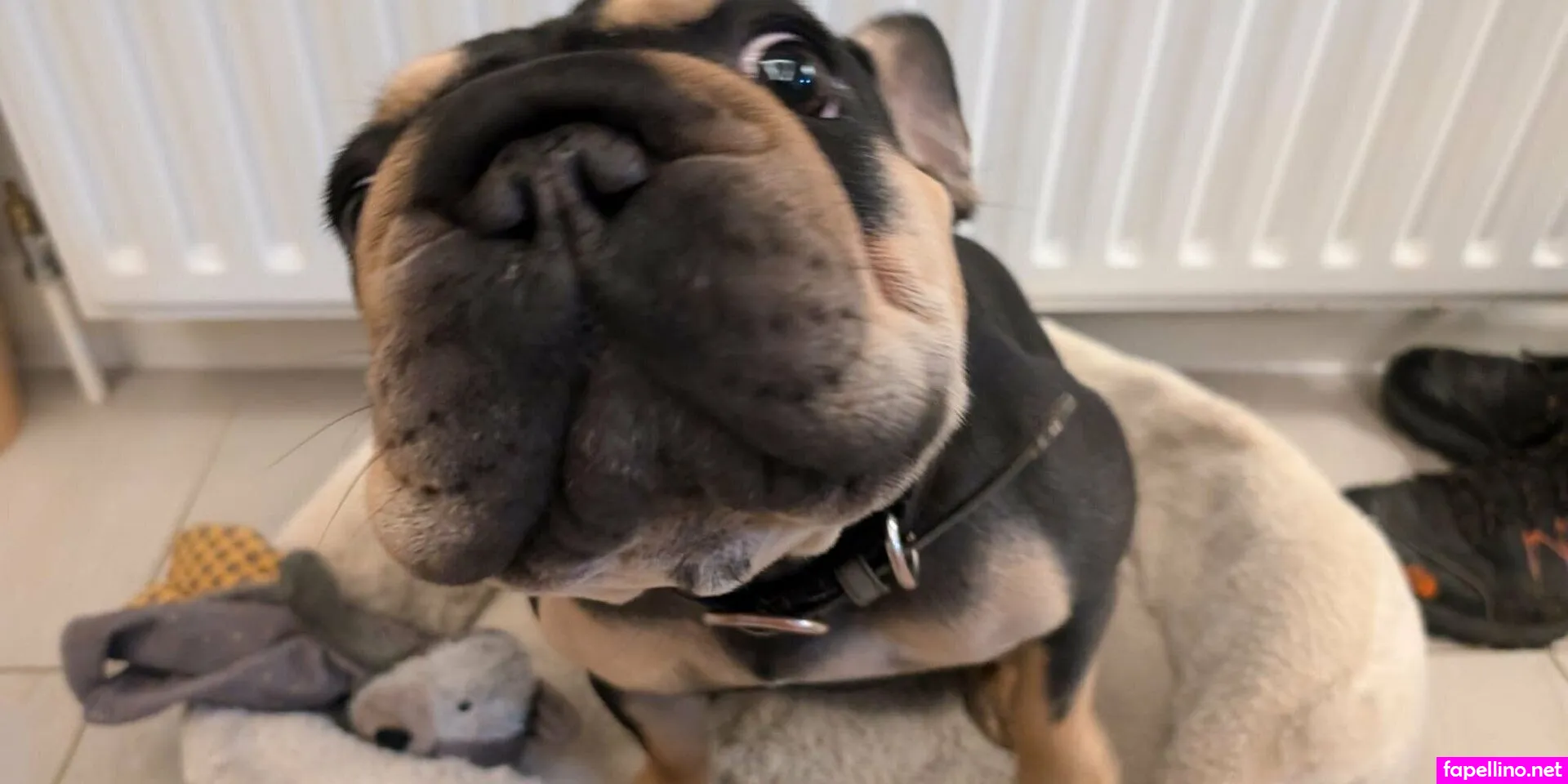 keily Nude Leaked OnlyFans Photo #FVnjwezfCU