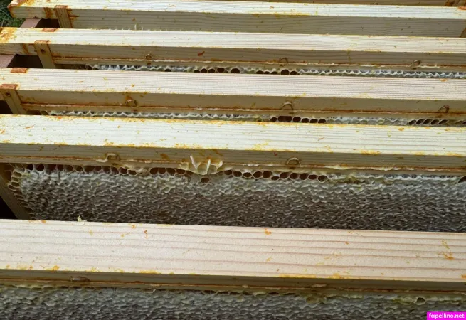 Keily OnlyFans Thumbnail #fgH8yoRhWE