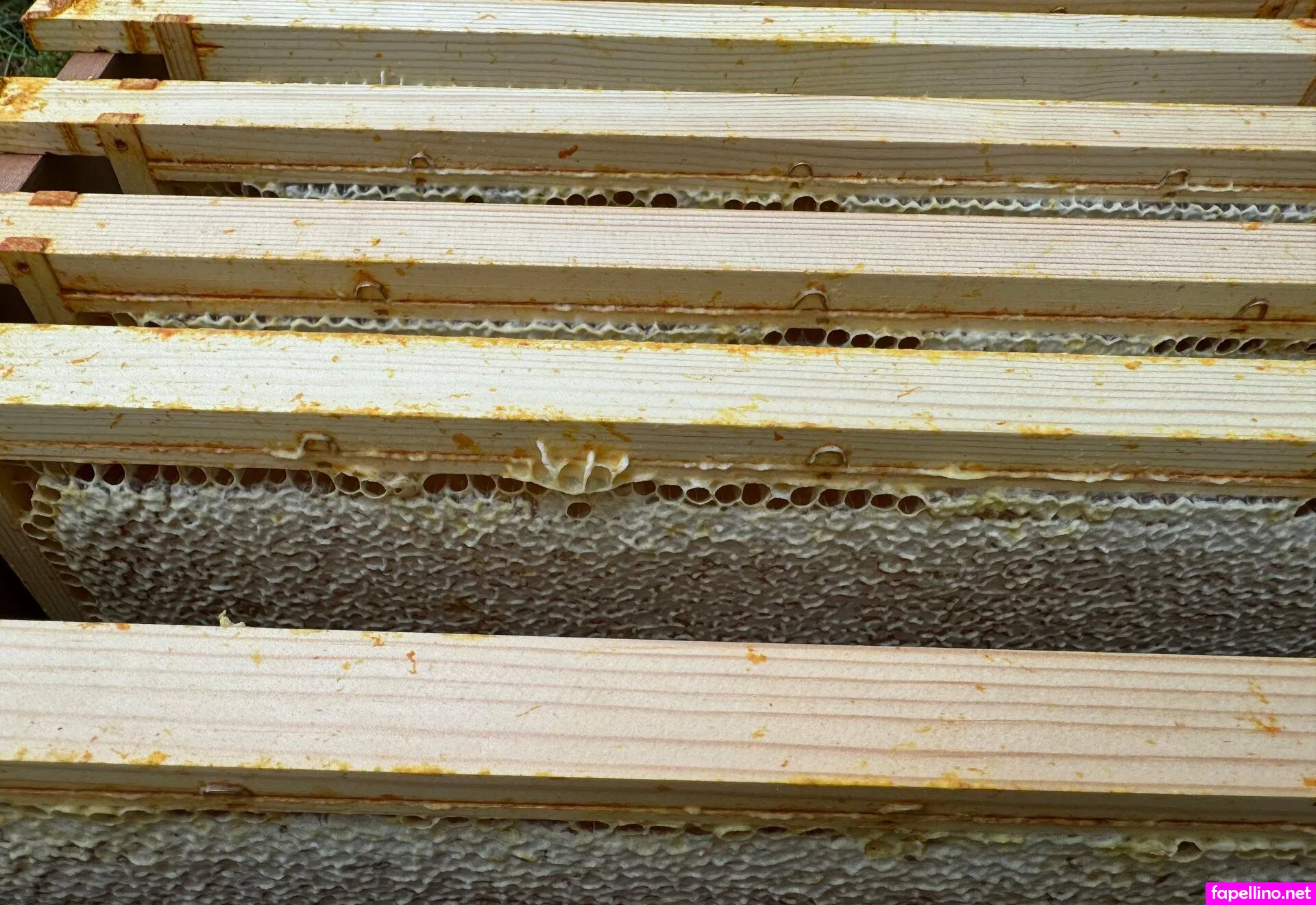 keily Nude Leaked OnlyFans Photo #fgH8yoRhWE