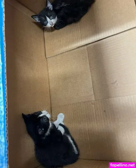 Kellylilred OnlyFans Thumbnail #oZHDyL7oil