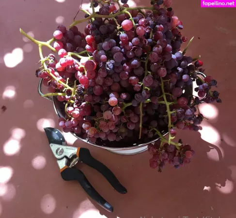 Kellynakatomi OnlyFans Thumbnail #fAqOzBkuDI