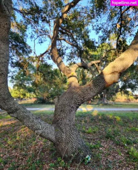 Kenzielynn OnlyFans Thumbnail #Y3YMy4qqTb