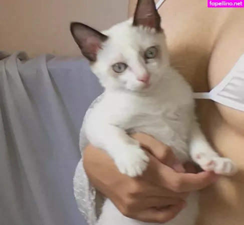 Kewlercat OnlyFans Thumbnail #EXA6EooNNO