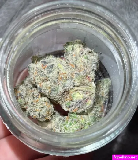 Kiley Kush OnlyFans Thumbnail #Lpyt9joGvI