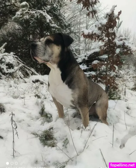 Kim Privat OnlyFans Thumbnail #ziXfYNz8n6