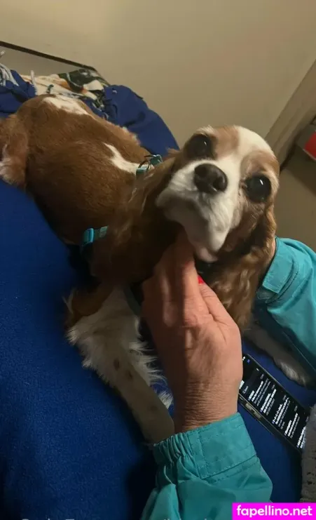 Kimberlykupps OnlyFans Thumbnail #EFmFDtO4ZD