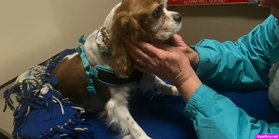 Kimberlykupps OnlyFans Thumbnail #Ixdcjge9hm