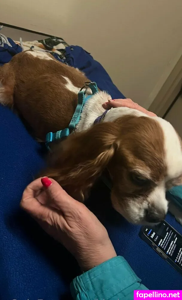 kimberlykupps, kimberlykupps18 Nude Leaked OnlyFans Photo #K1D8FGO39f