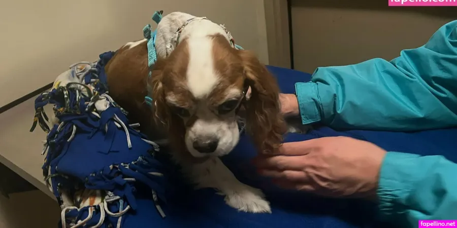 Kimberlykupps OnlyFans Thumbnail #kW64NwDm80