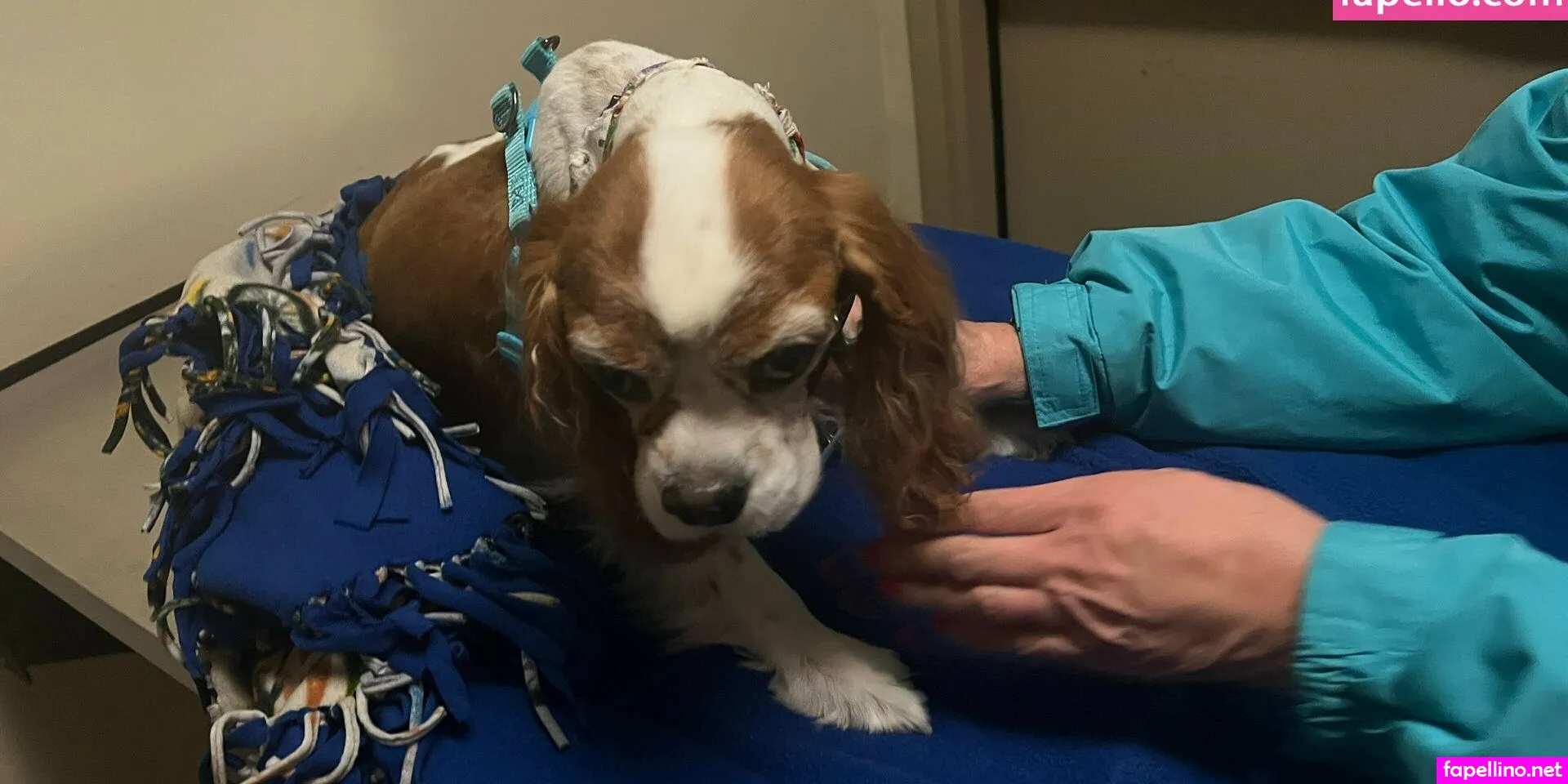 kimberlykupps, kimberlykupps18 Nude Leaked OnlyFans Photo #kW64NwDm80