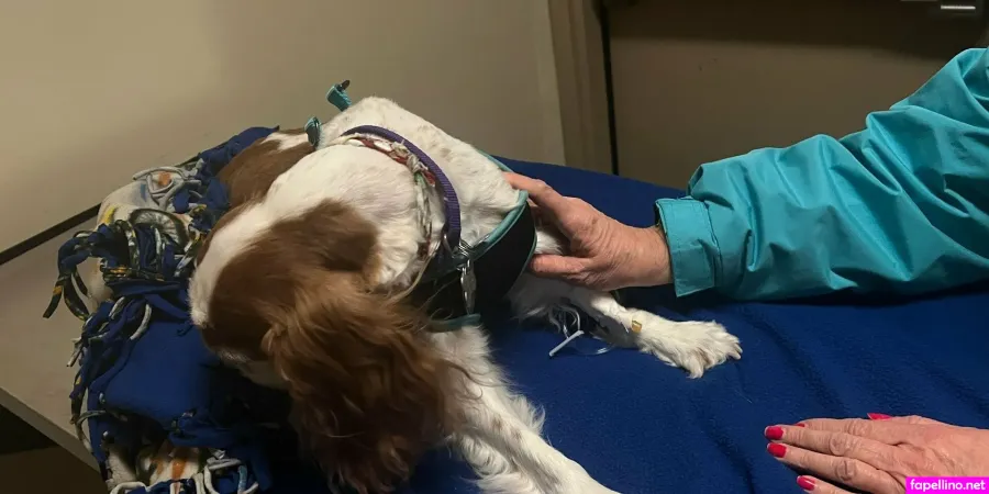 Kimberlykupps Main Profile Photo