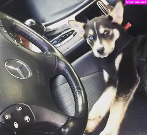 Kimi Mcfarland OnlyFans Thumbnail #9LTyT8BqGe