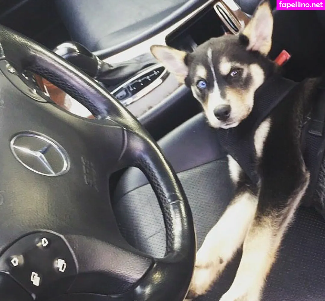 kimimcfarland Nude Leaked OnlyFans Photo #9LTyT8BqGe