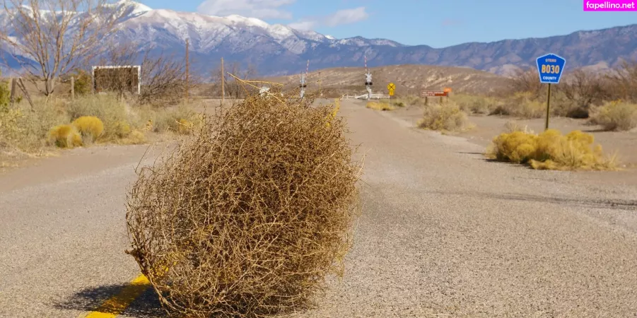 Kimmee OnlyFans Thumbnail #pQS1zecCI7