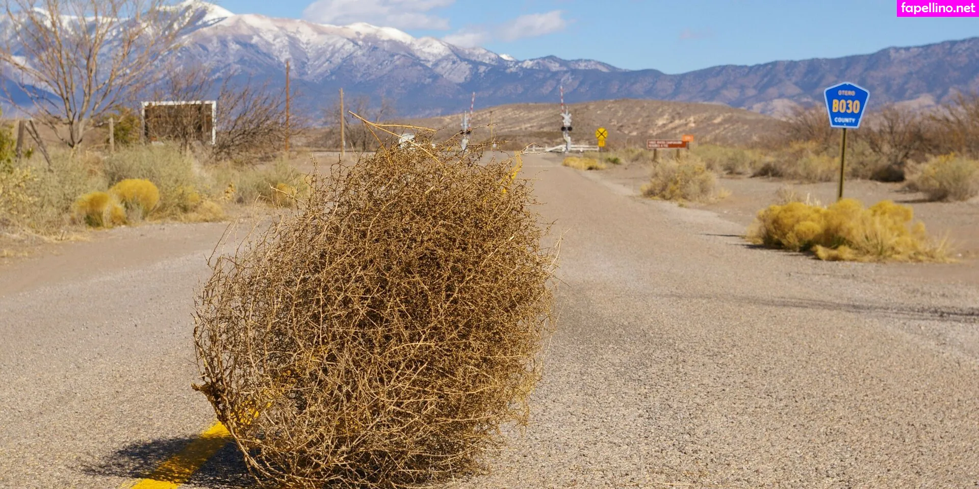 kimmee.tv, kimmeetv, kimmeex Nude Leaked OnlyFans Photo #pQS1zecCI7