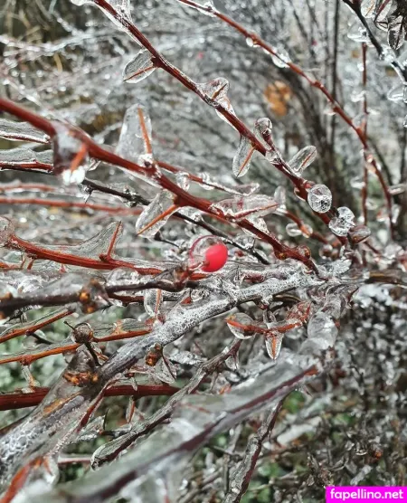 Kira Rainbow OnlyFans Thumbnail #HHe0ZjsP2e