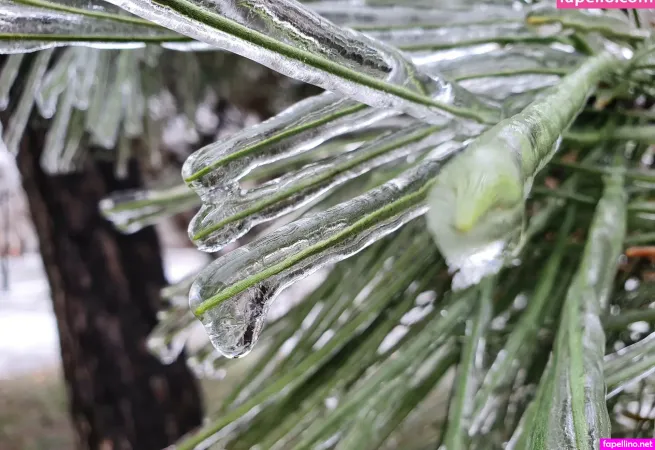 Kira Rainbow OnlyFans Thumbnail #IDo6VXQRhl