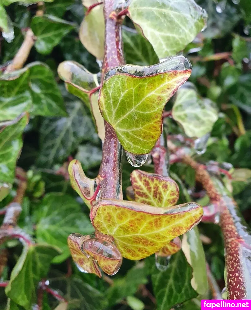 kira.rainbow, mrskirarainbow Nude Leaked OnlyFans Photo #l40HeNgBIV