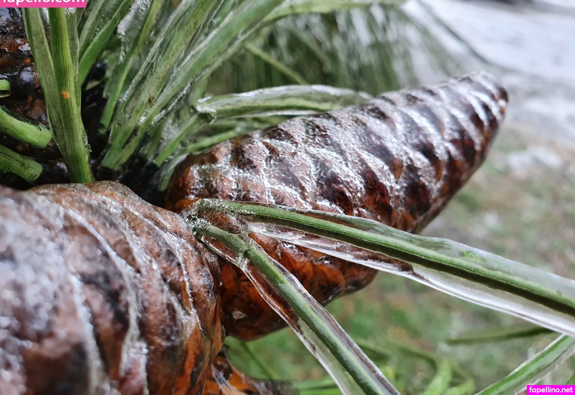 kira.rainbow, mrskirarainbow Nude Leaked OnlyFans Photo #uPCKLg27Pi