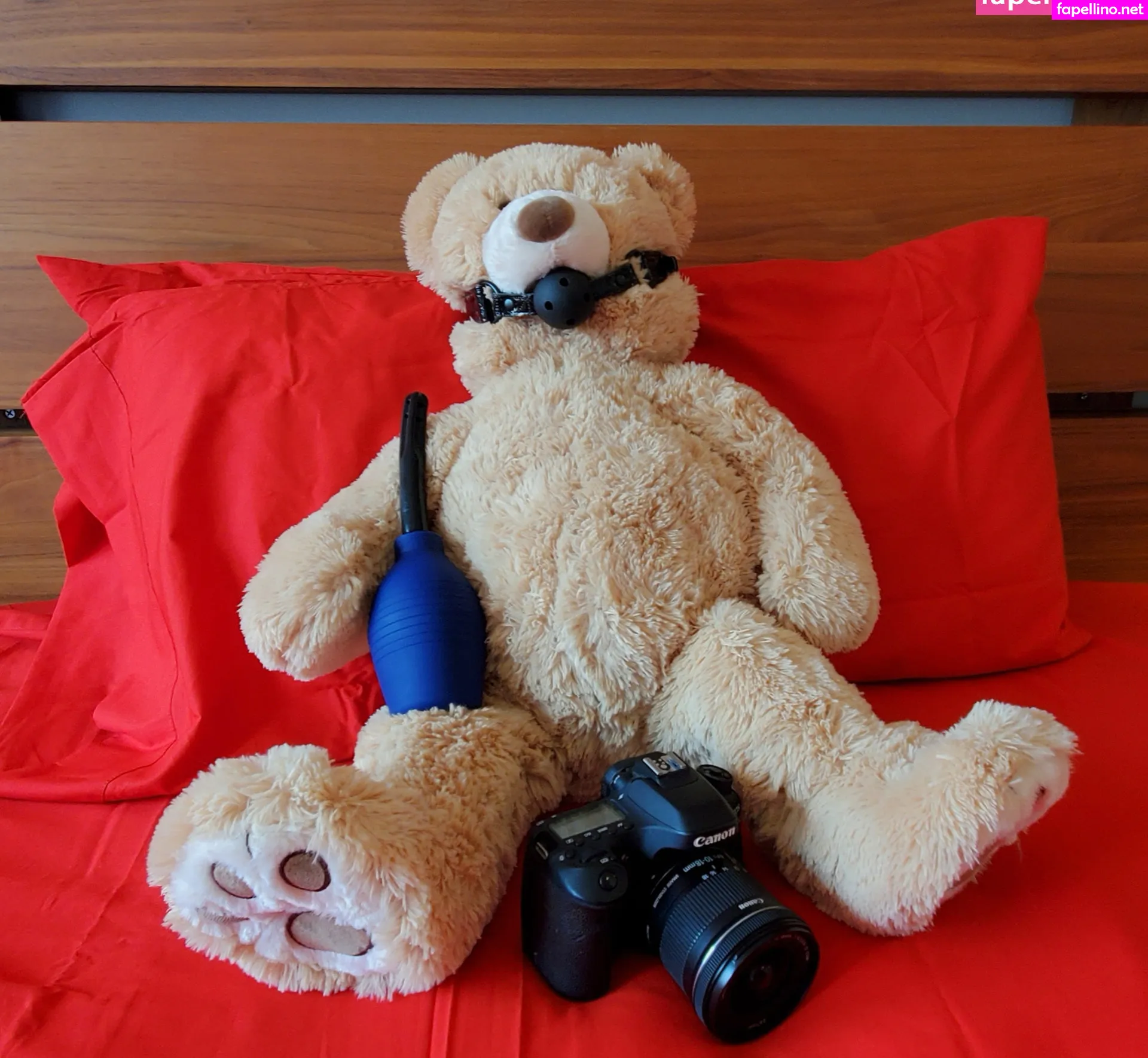 coyotelovesyou, kissasins Nude Leaked OnlyFans Photo #ClB10AAvKz