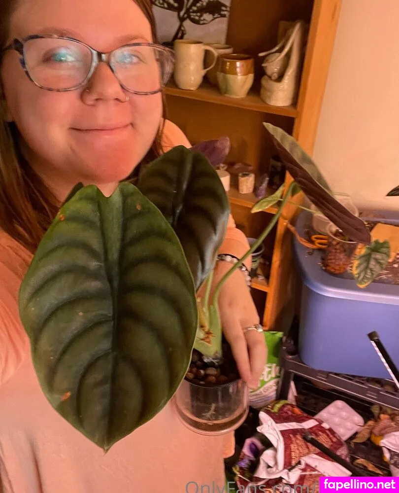 kitacat20, kitcatchat Nude Leaked OnlyFans Photo #IUfdSb8Lib