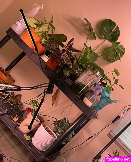 Kitacat20 OnlyFans Thumbnail #OaKDvTDPIe