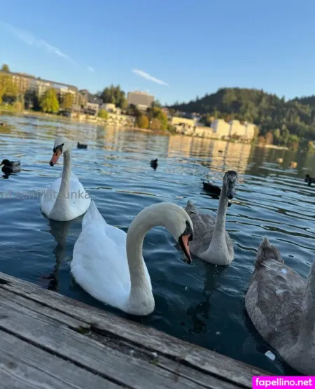 Kitsunka Main Profile Photo