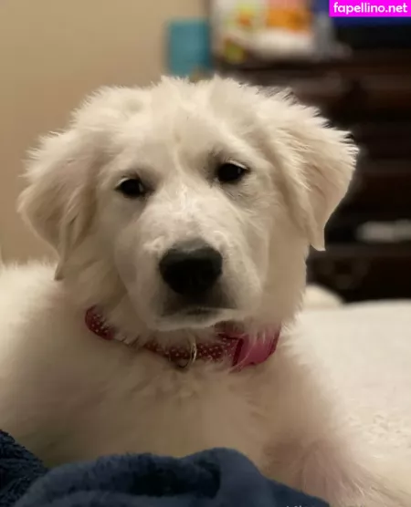 Kittenginger OnlyFans Thumbnail #7M3RpN1M79