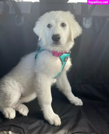 Kittenginger OnlyFans Thumbnail #am8mZPmOIu