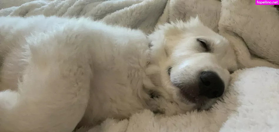 Kittenginger OnlyFans Thumbnail #fwua9hjwYj