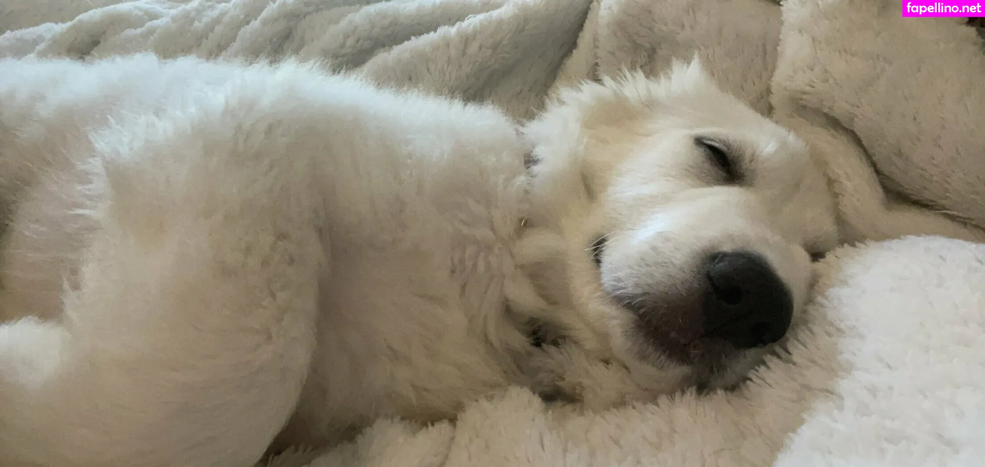 Kitten_Ginger, kittenginger Nude Leaked OnlyFans Photo #fwua9hjwYj