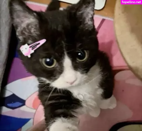 Kittncore OnlyFans Thumbnail #l1l80w6pnQ