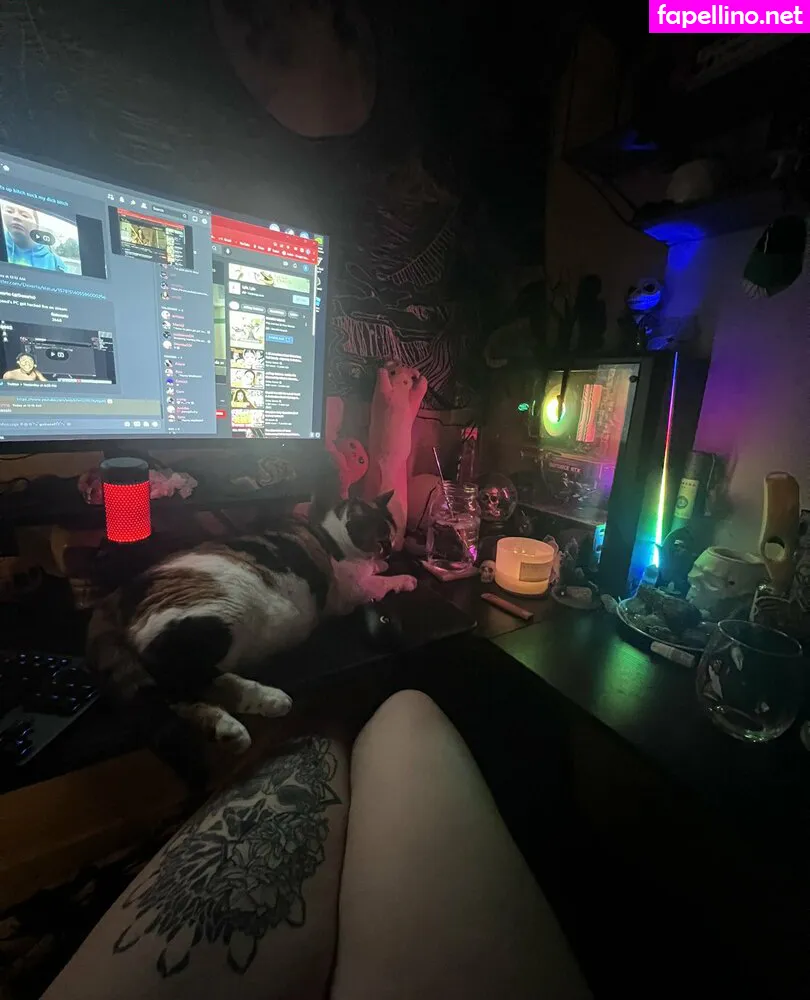 _k1ttytitty, k1ttyt1tty, tittykittyofficial Nude Leaked OnlyFans Photo #RtE1E8UHVM