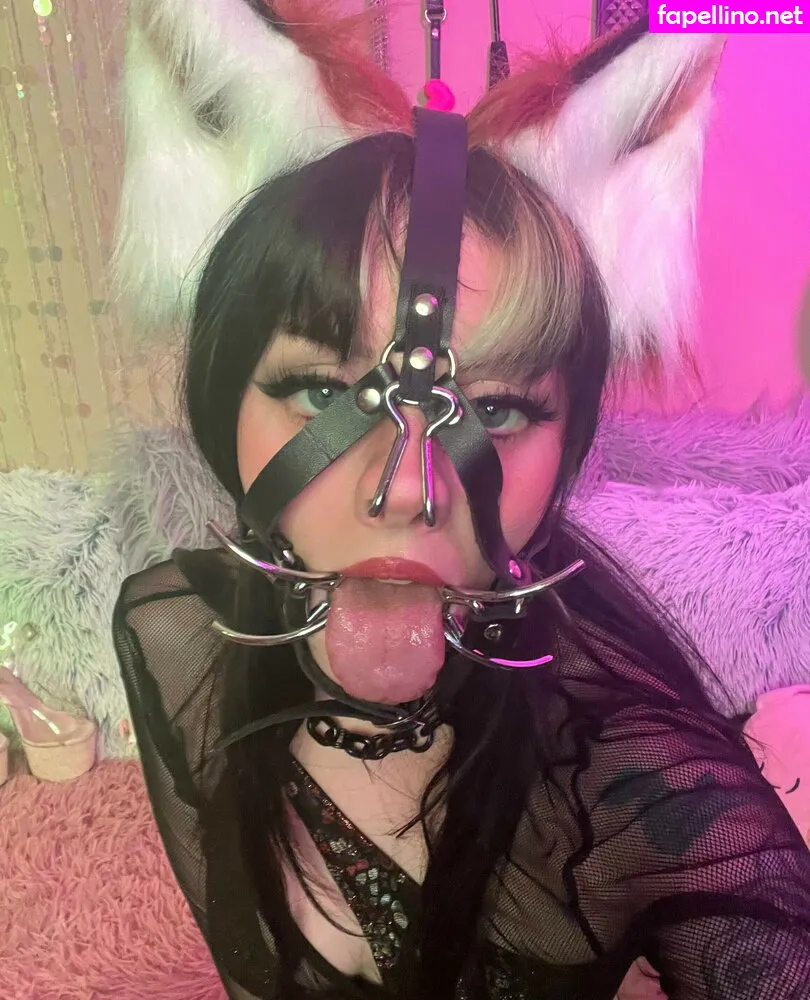 kittycamtime, kittycamtime_, kittycamtimex Nude Leaked OnlyFans Photo #NfUScKfFax