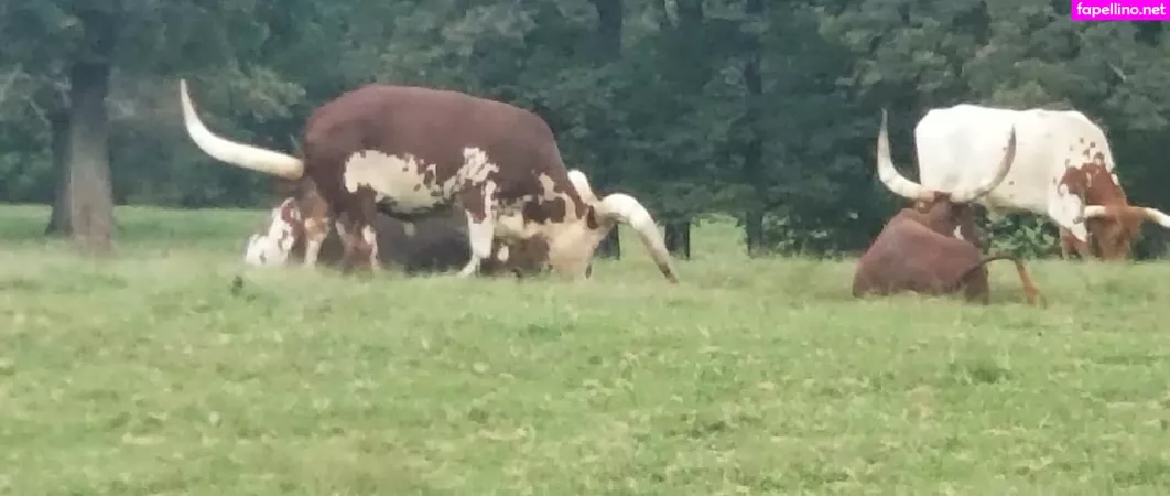 Kittylee OnlyFans Thumbnail #Br6sNgsWWs