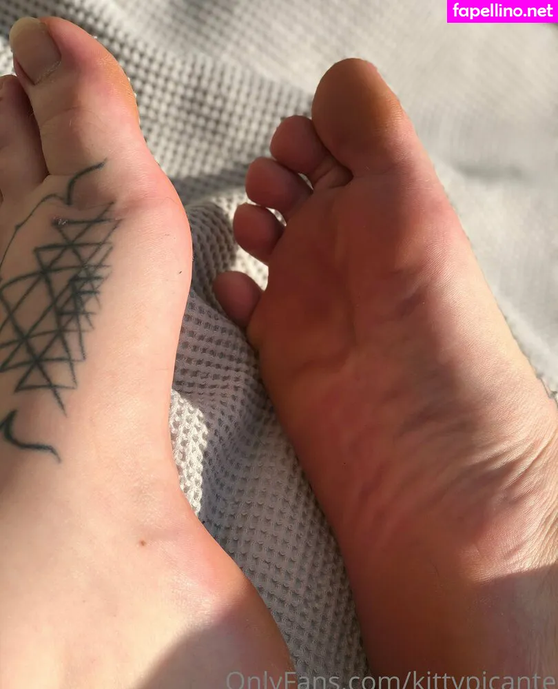 kittypicante, miami.glamstore Nude Leaked OnlyFans Photo #6T1N36V4YV