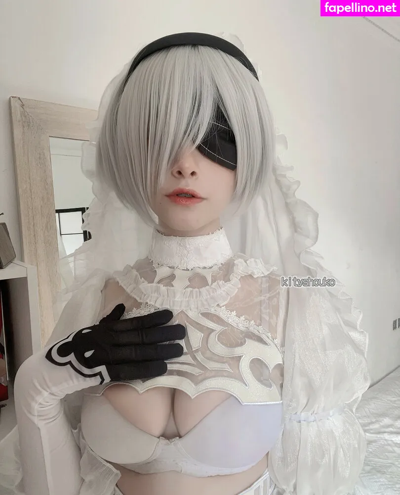 kitycosplay, kitycoss, kityshouko, shelbyevil Nude Leaked OnlyFans Photo #i438Dx0bau